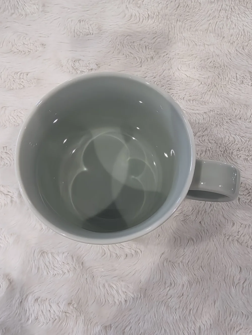 Crate & Barrel Aaron Probyn Hue Coffee Mug Light Green 12oz.